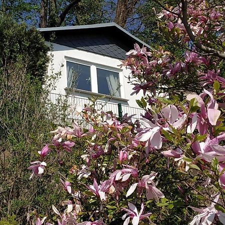 Das Ferienhaus Mit Aussicht Pirna Esterno foto
