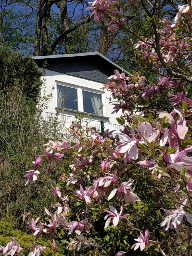 Das Ferienhaus Mit Aussicht Pirna Esterno foto