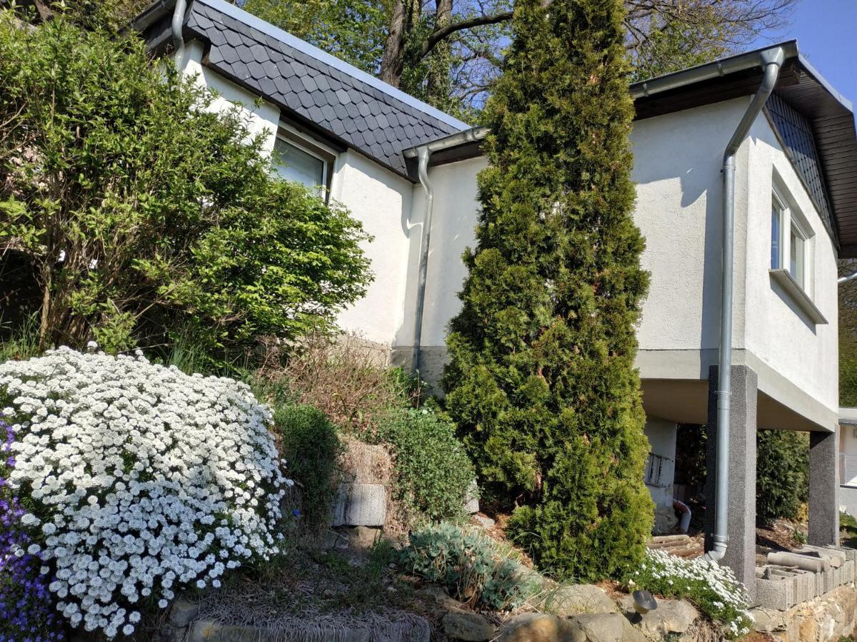 Das Ferienhaus Mit Aussicht Pirna Esterno foto